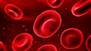 hemofilia | genos laboratorio de genetica