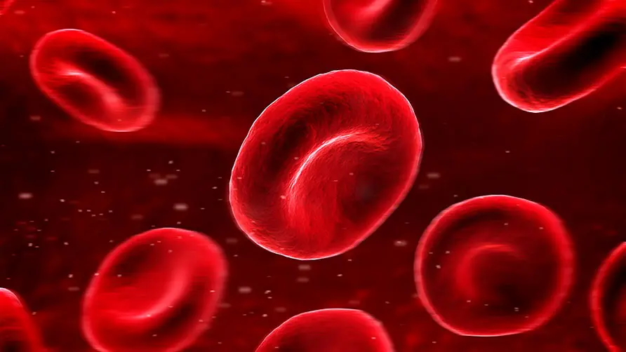 hemofilia | genos laboratorio de genetica
