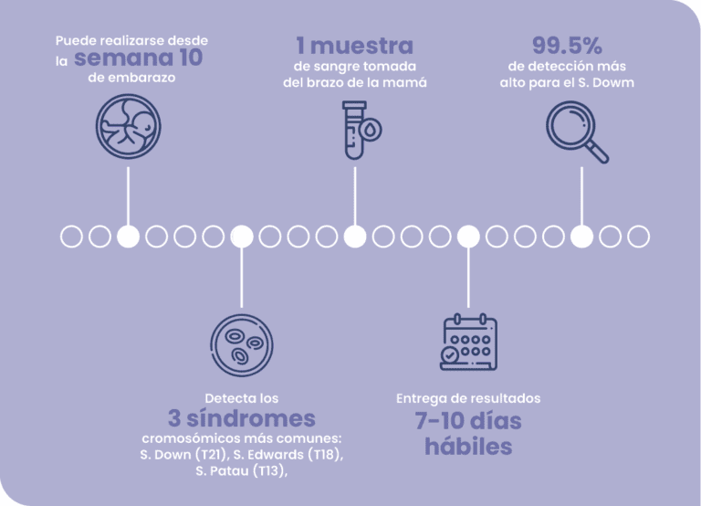 semanas genetica del embarazo | genos laboratorio de genetica