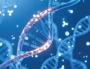 Asociación entre la genética y la posibilidad de desarrollar Alzheimer | Genos laboratorio de genética