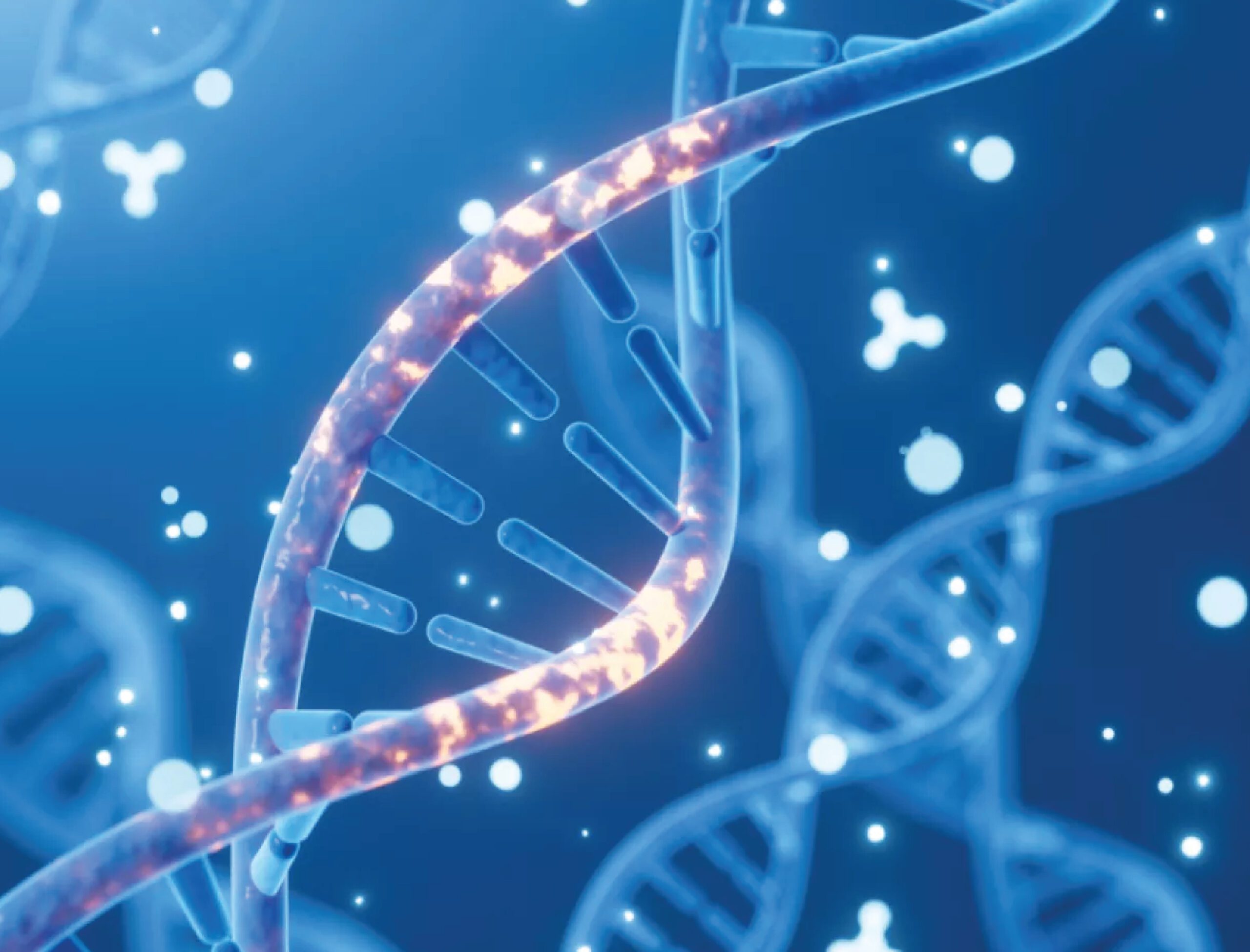 Asociación entre la genética y la posibilidad de desarrollar Alzheimer | Genos laboratorio de genética