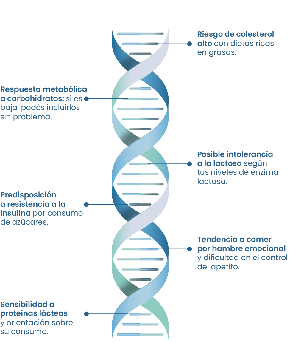 nutrigenetica adn | genos balance