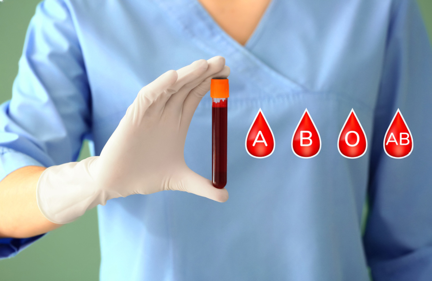 grupos sanguineos ¿cómo se heredan? | genos laboratorio de genetica